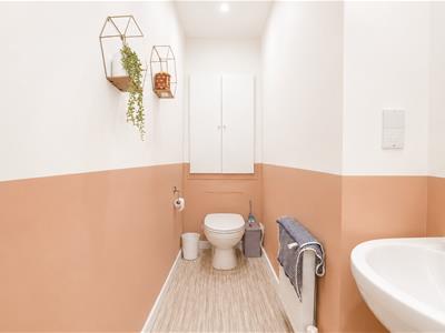 Picture 17